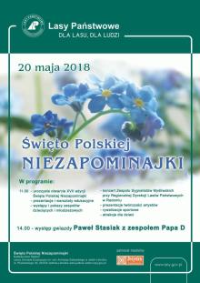 XVII Święto Polskiej Niezapominajki
